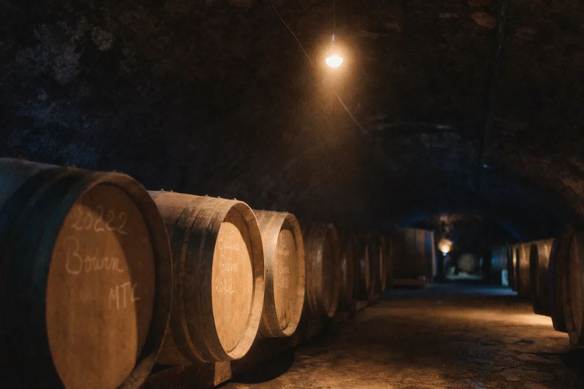 Two rows of French oak barrels receding into a stone cellar