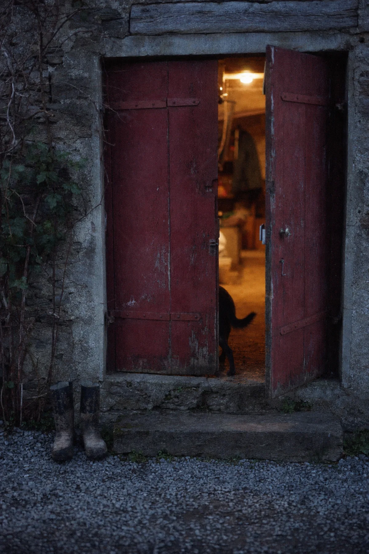 The faded oxblood wooden double door of the cellar, half open
