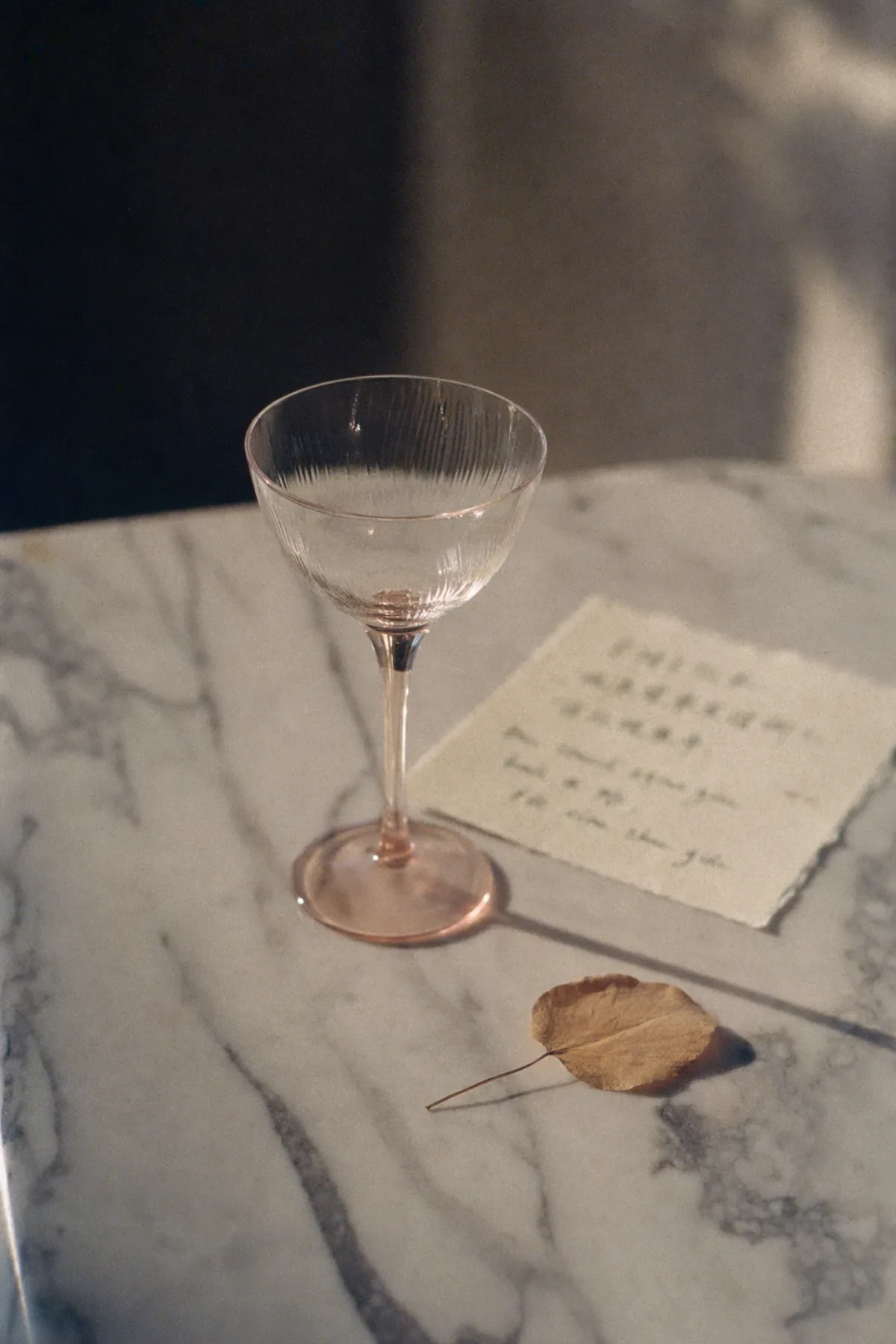 A single pale pink rosé glass alone on marble with a dry apricot leaf