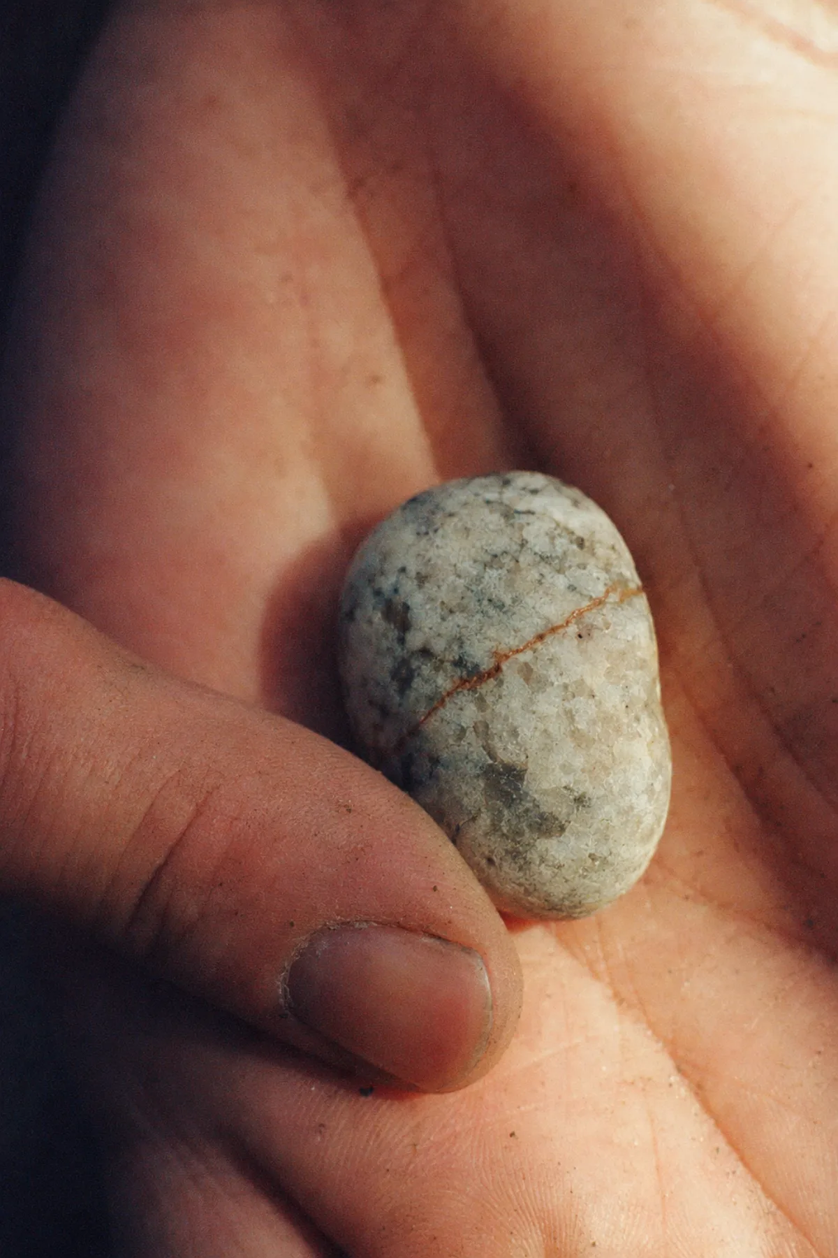 A single alluvial stone in the palm of a hand, veined with rust and quartz